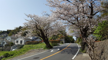 20180401_090313.jpg